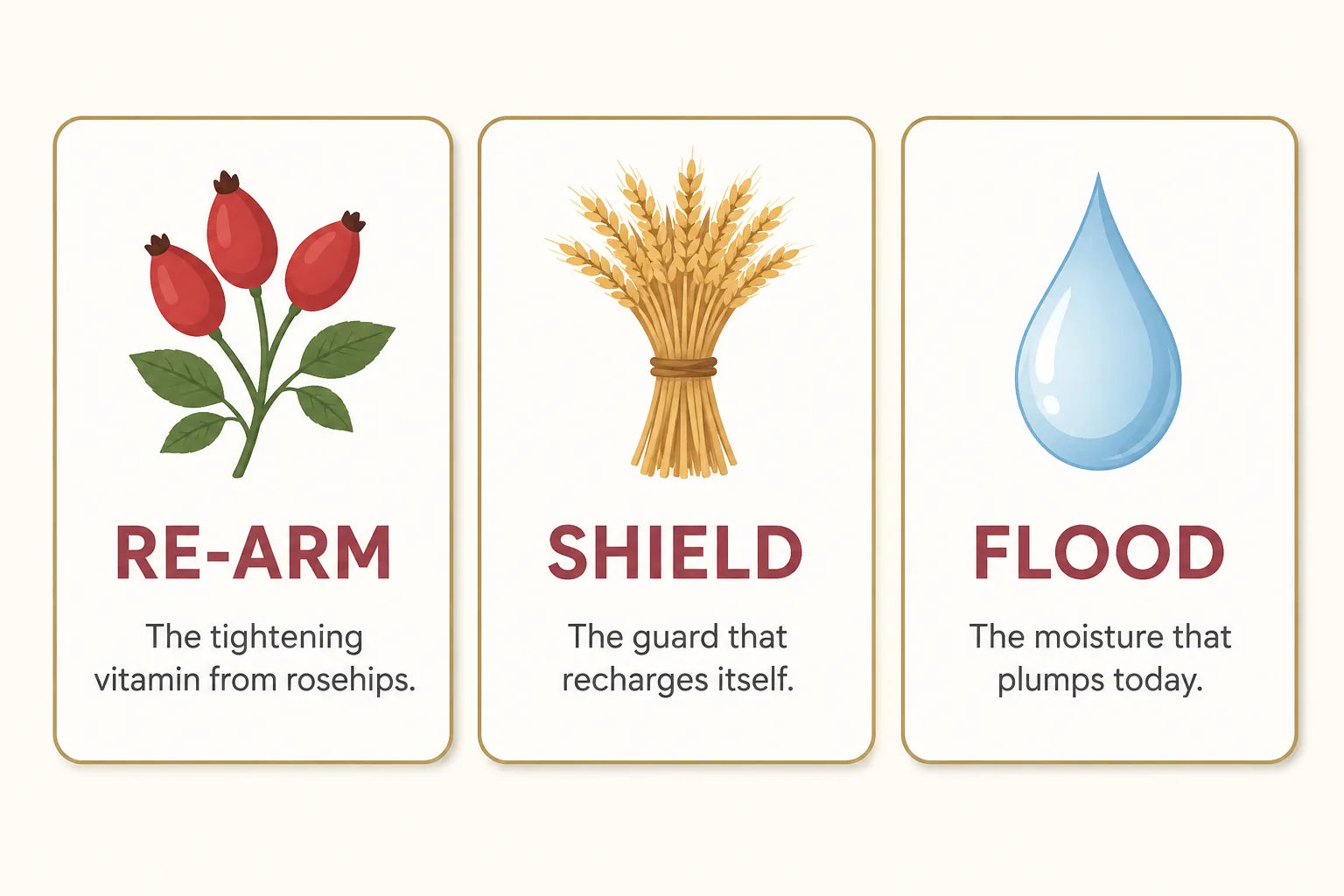 Three-card infographic: Re-Arm from rosehips, Shield that recharges itself, Flood that plumps today