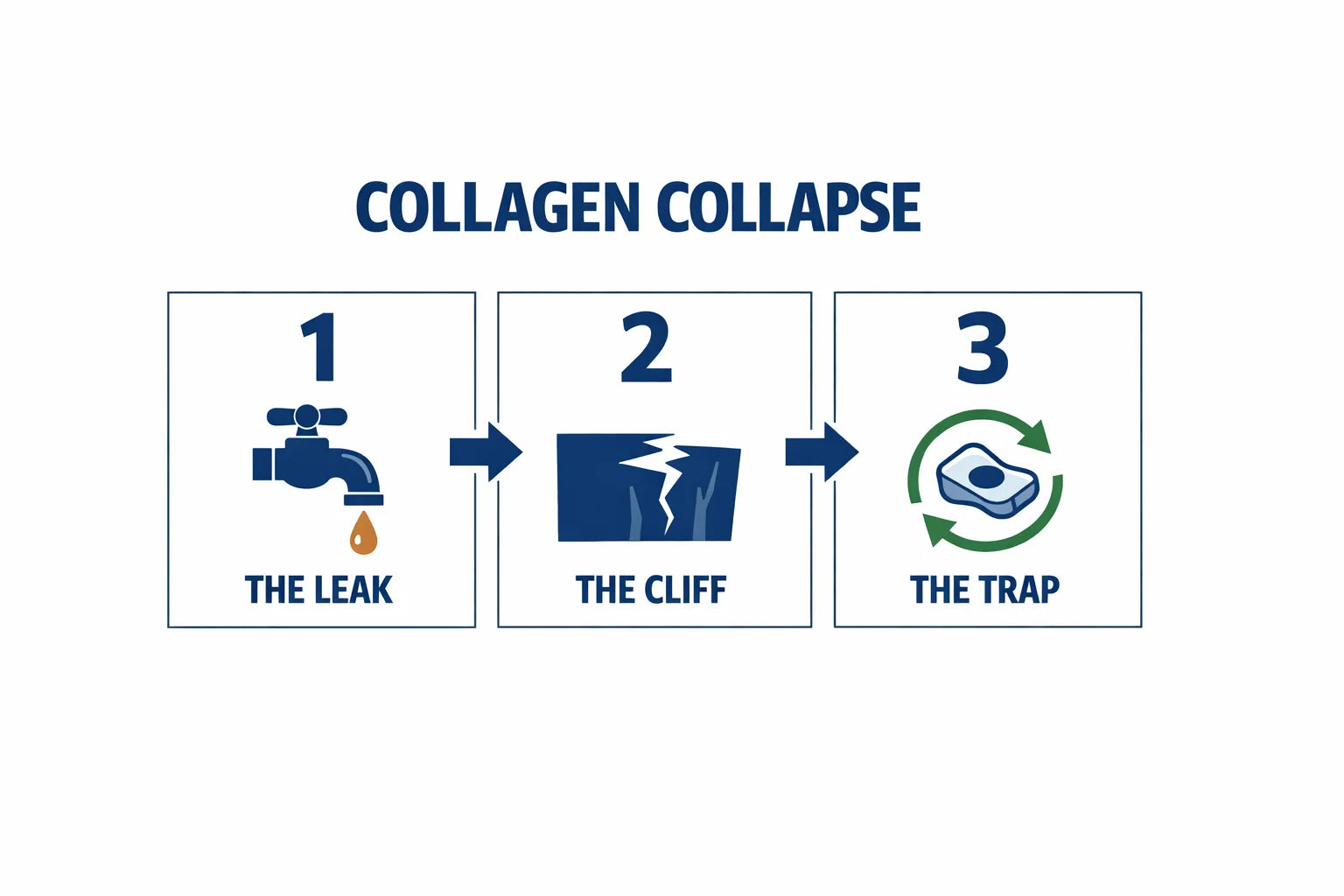 Three-stage infographic titled Collagen Collapse showing the leak, the cliff and the trap