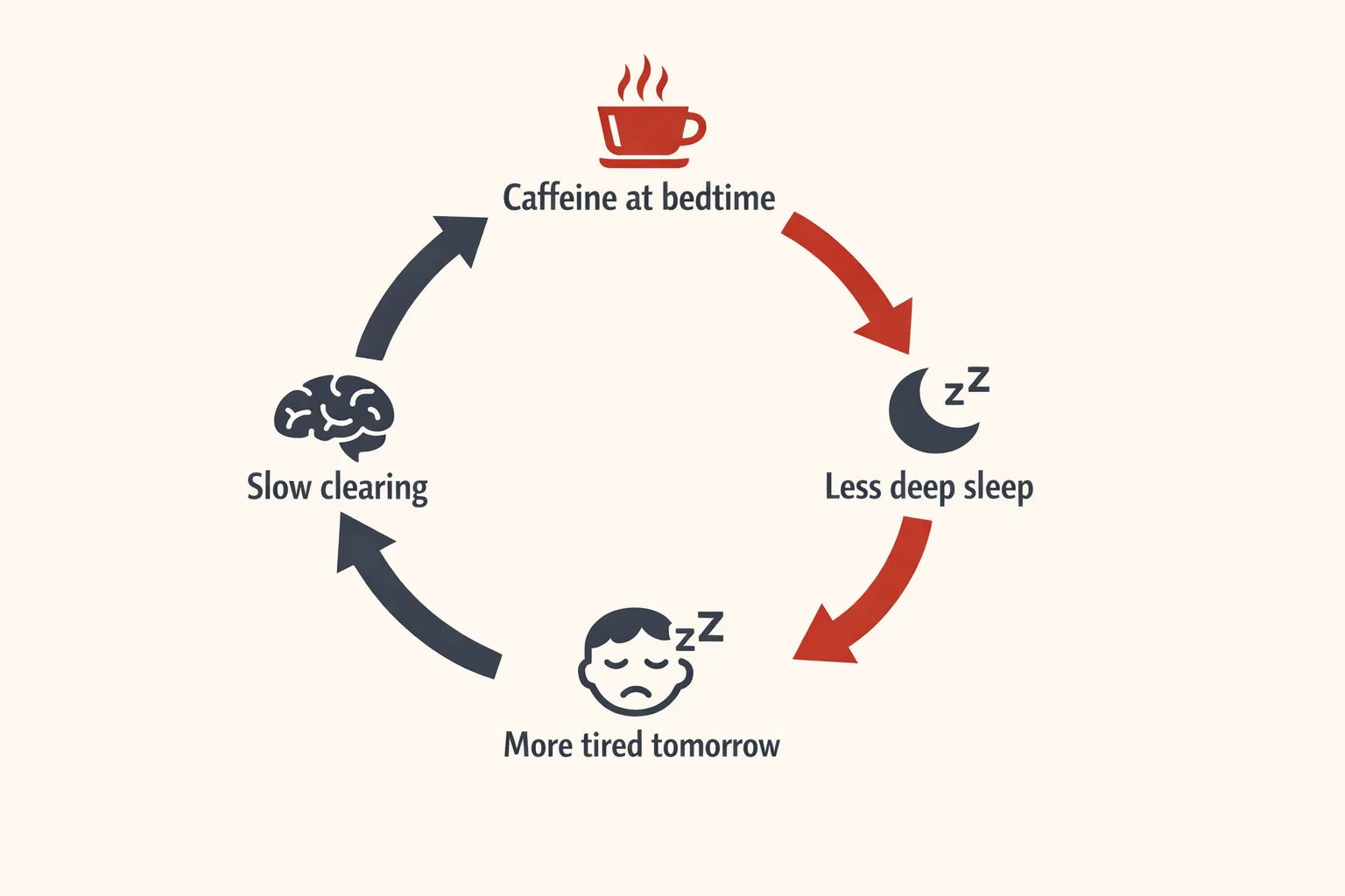 Circular diagram showing the loop from slow clearing to caffeine at bedtime to less deep sleep to more tired tomorrow