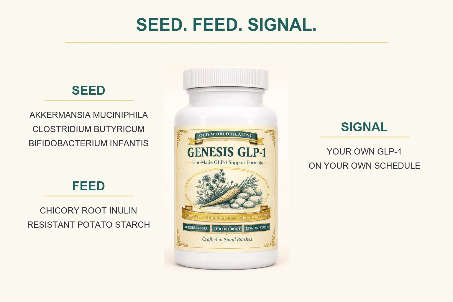 Flat-lay infographic splitting the Genesis GLP-1 formula into Seed, Feed and Signal columns around the bottle