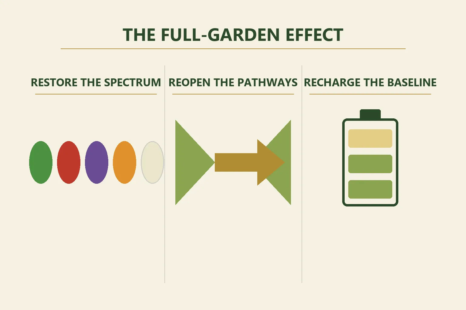 Three panel mechanism infographic titled The Full-Garden Effect: restore the spectrum, reopen the pathways, recharge the baseline
