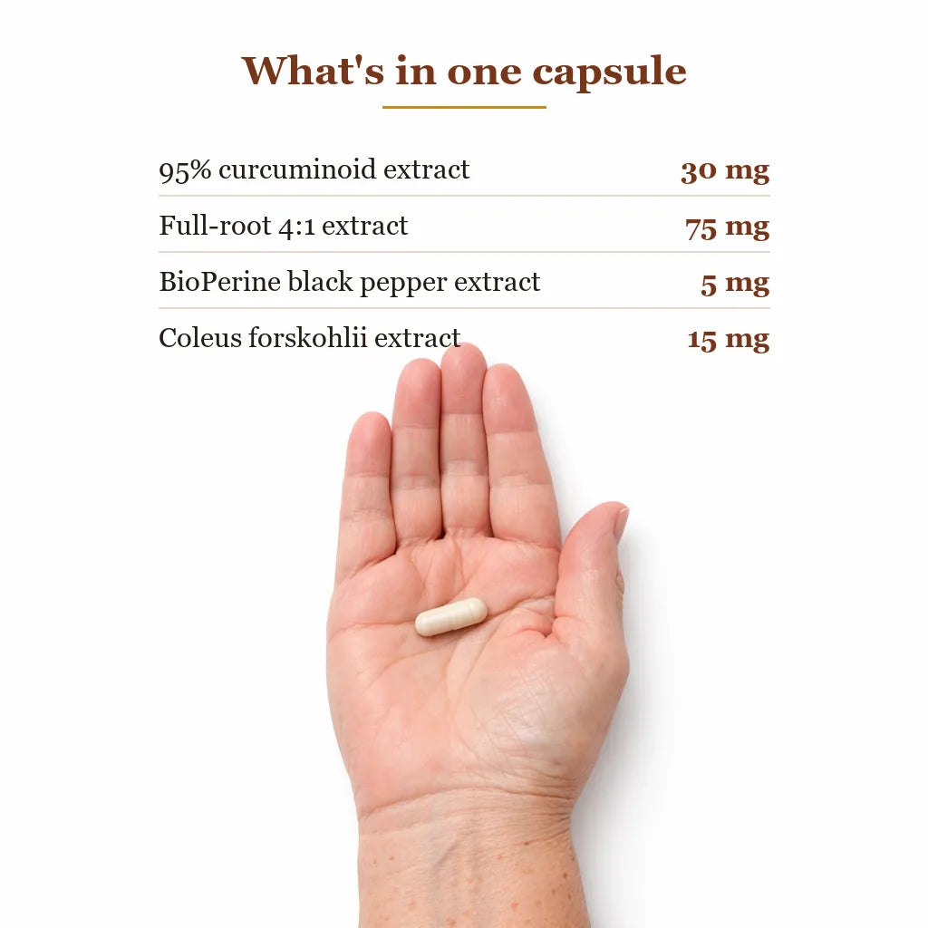 Old World Turmeric capsule with ingredient callouts