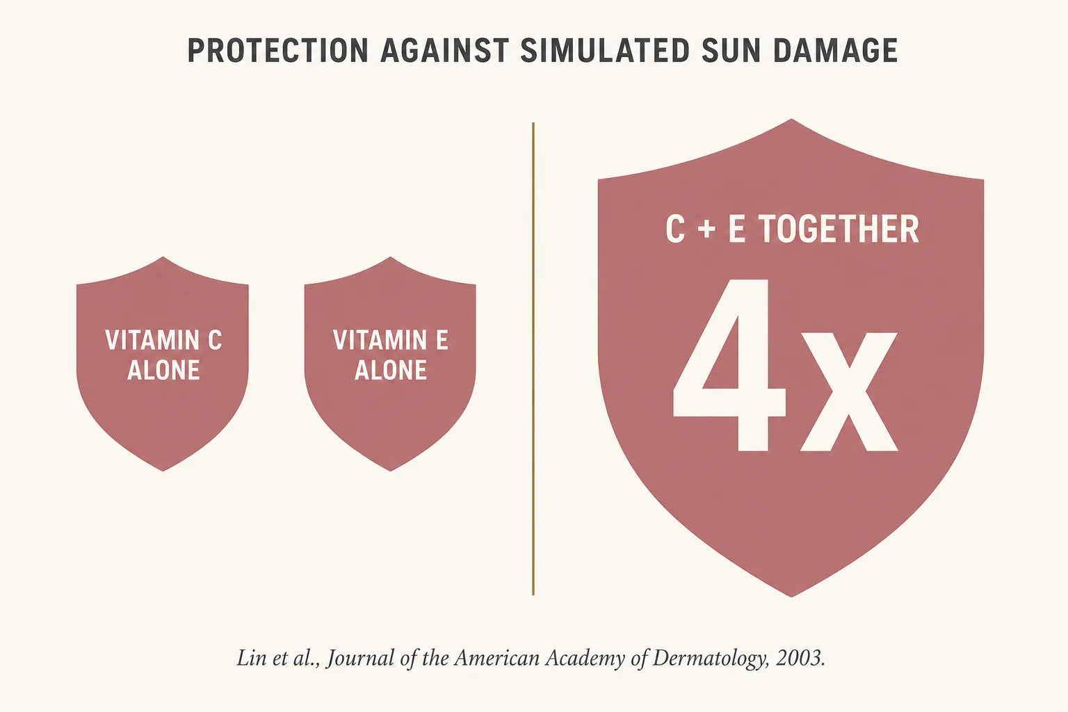 Split infographic showing two small shields for vitamin C alone and vitamin E alone beside one shield four times the size for C and E together
