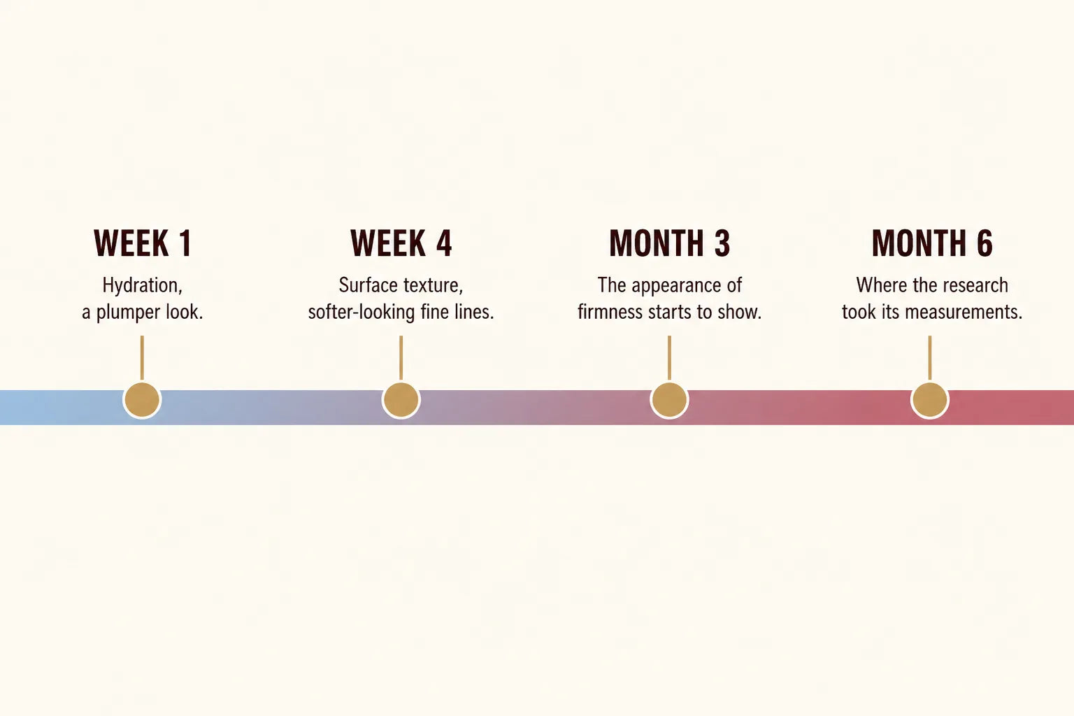 Timeline infographic marking week 1 hydration, week 4 texture, month 3 the appearance of firmness and month 6 where the research measured