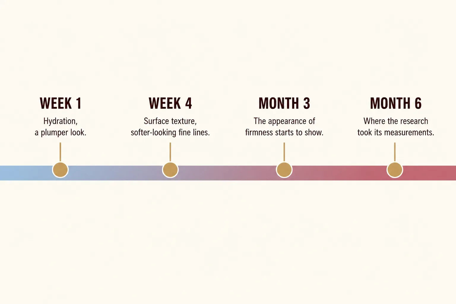 Timeline: week 1 hydration and a plumper look, week 4 softer looking fine lines, month 3 the appearance of firmness starts to show, month 6 where the research took its measurements