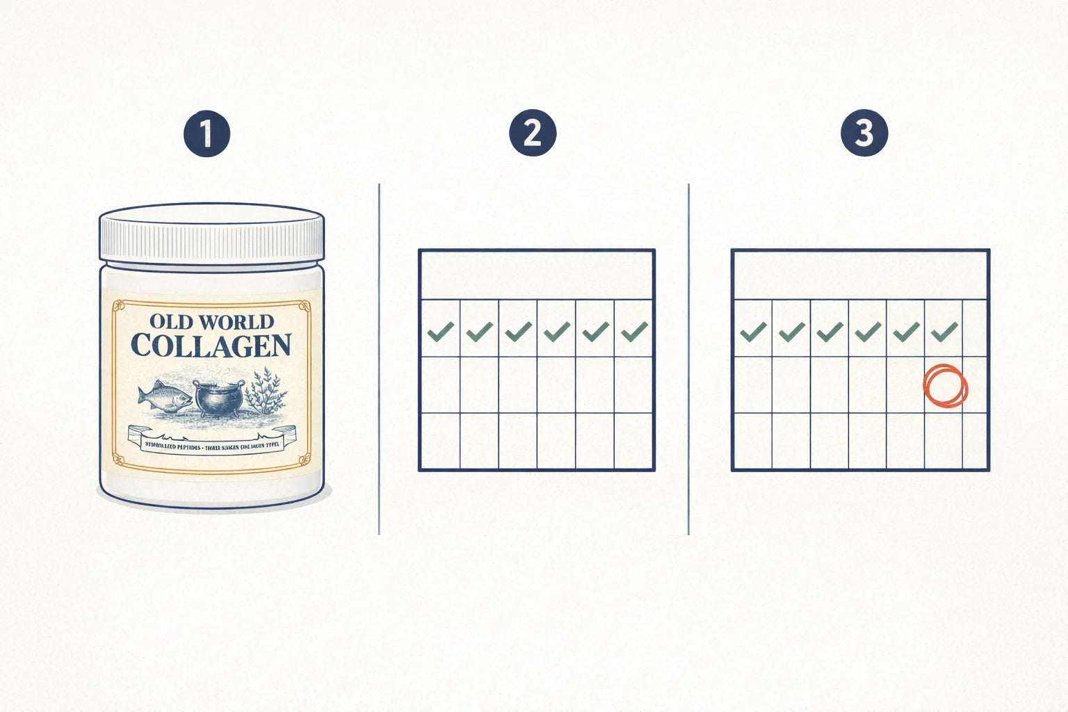 Three-panel illustration showing the Old World Collagen tub, a calendar of daily checkmarks, and a circled date eight weeks out