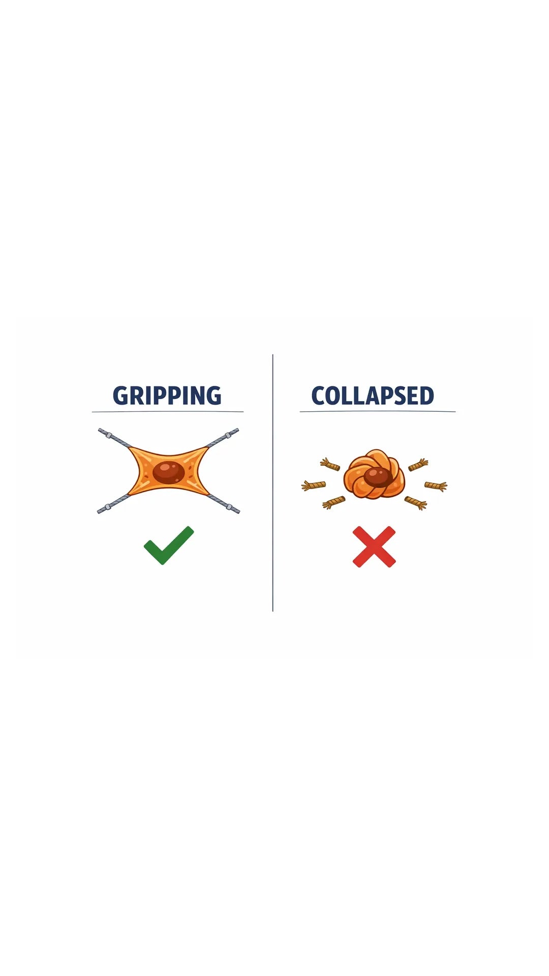 Diagram of a fibroblast gripping an intact collagen fiber beside one that has collapsed