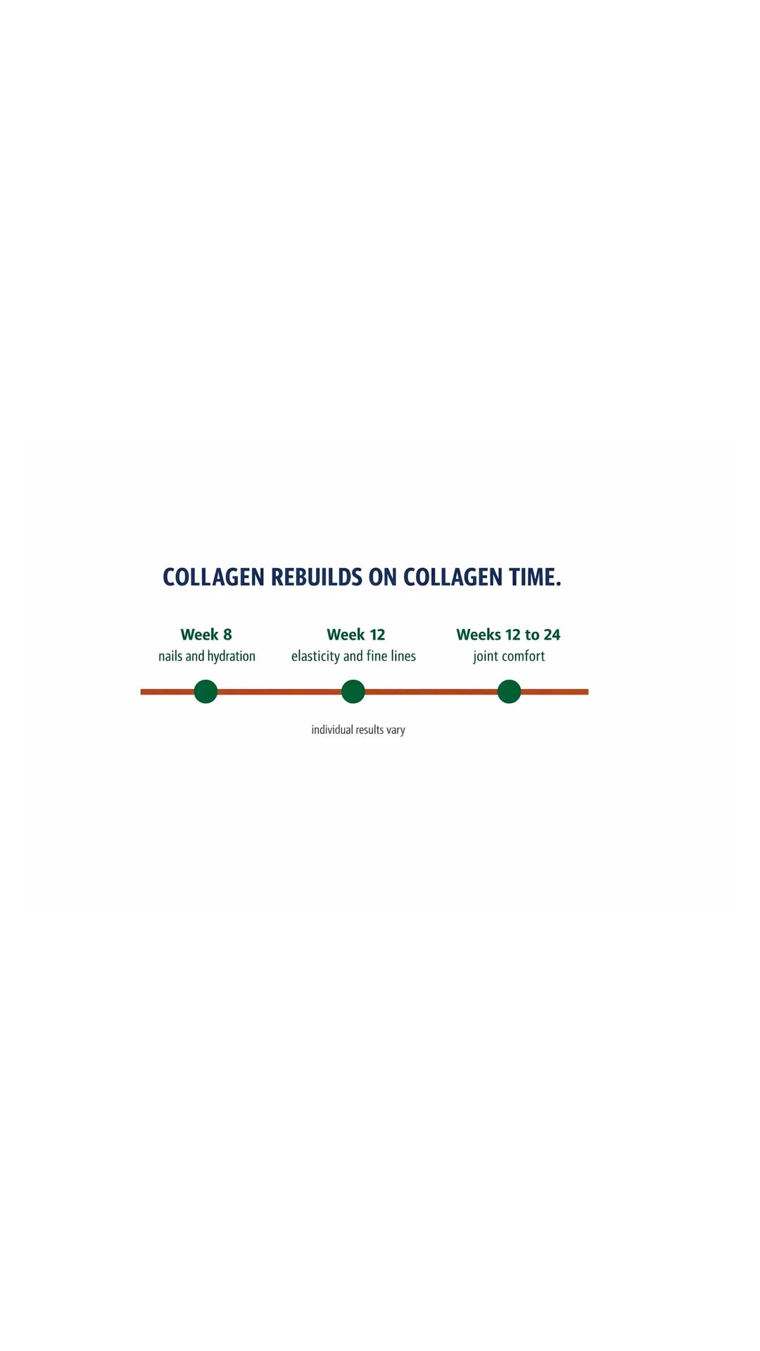 Timeline card showing week eight, week twelve and weeks twelve to twenty-four