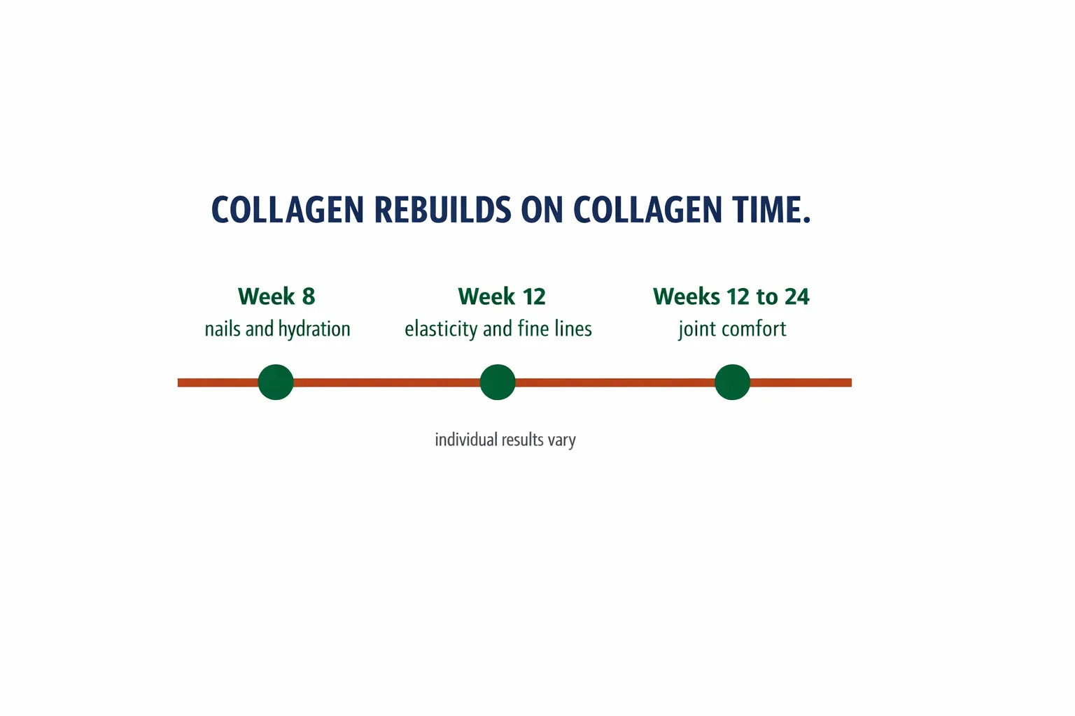 Timeline showing week eight for nails and hydration, week twelve for elasticity and fine lines, and weeks twelve to twenty-four for joint comfort