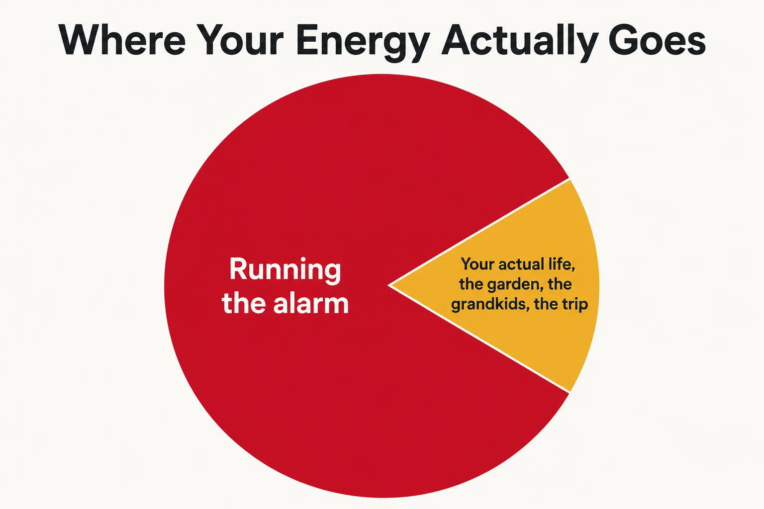 Pie chart infographic showing most of a person's energy going to running an internal alarm