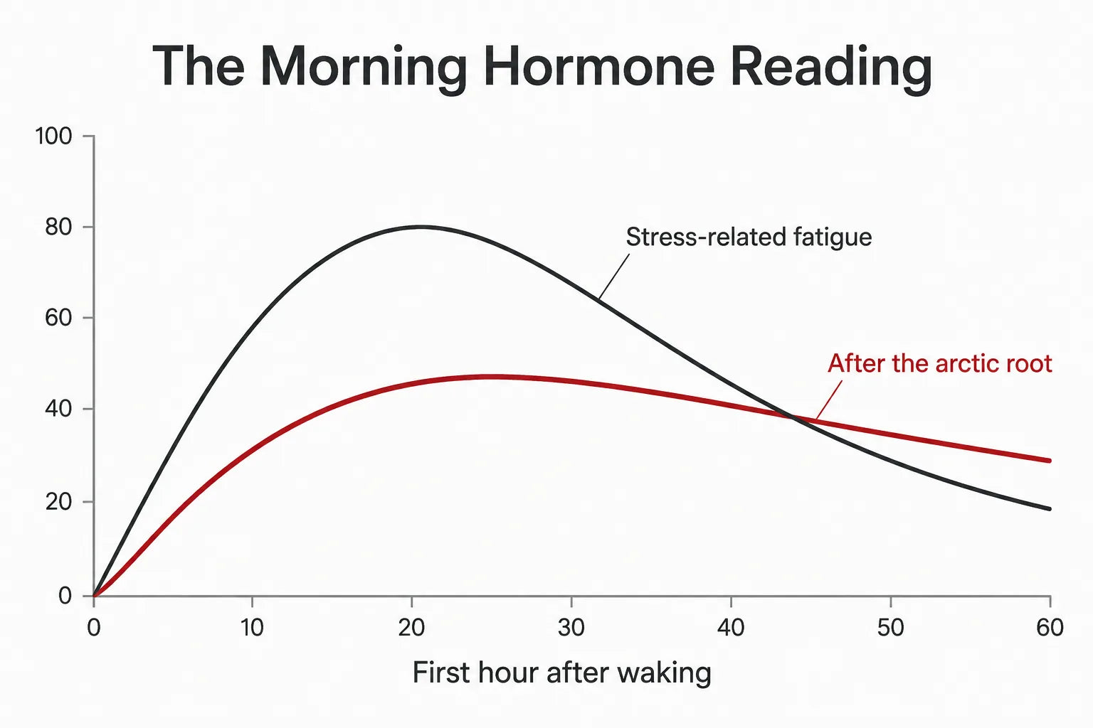 Line-graph infographic of the morning hormone reading across the first hour after waking