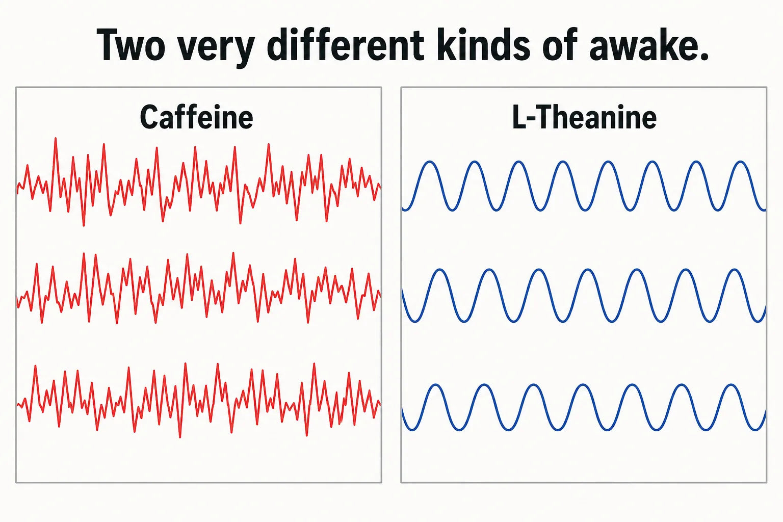 Side-by-side EEG brainwave graphic comparing jagged caffeine waves with smooth alpha waves