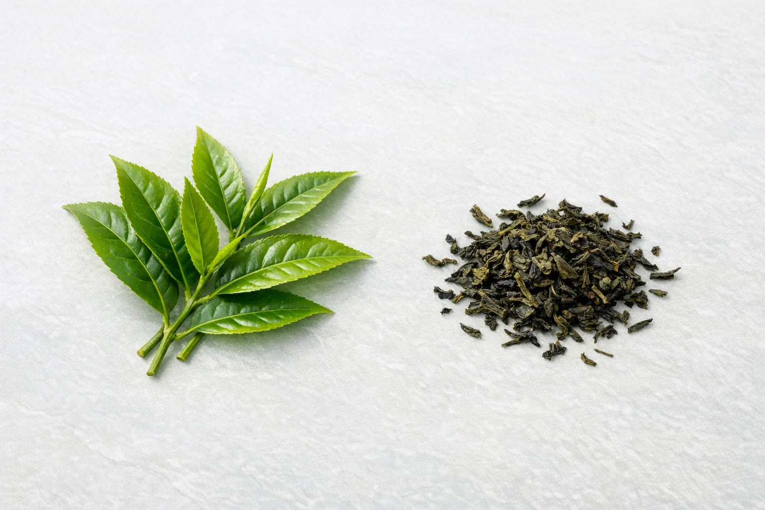 Fresh green tea leaves on a pale slate surface with loose dried leaves beside them