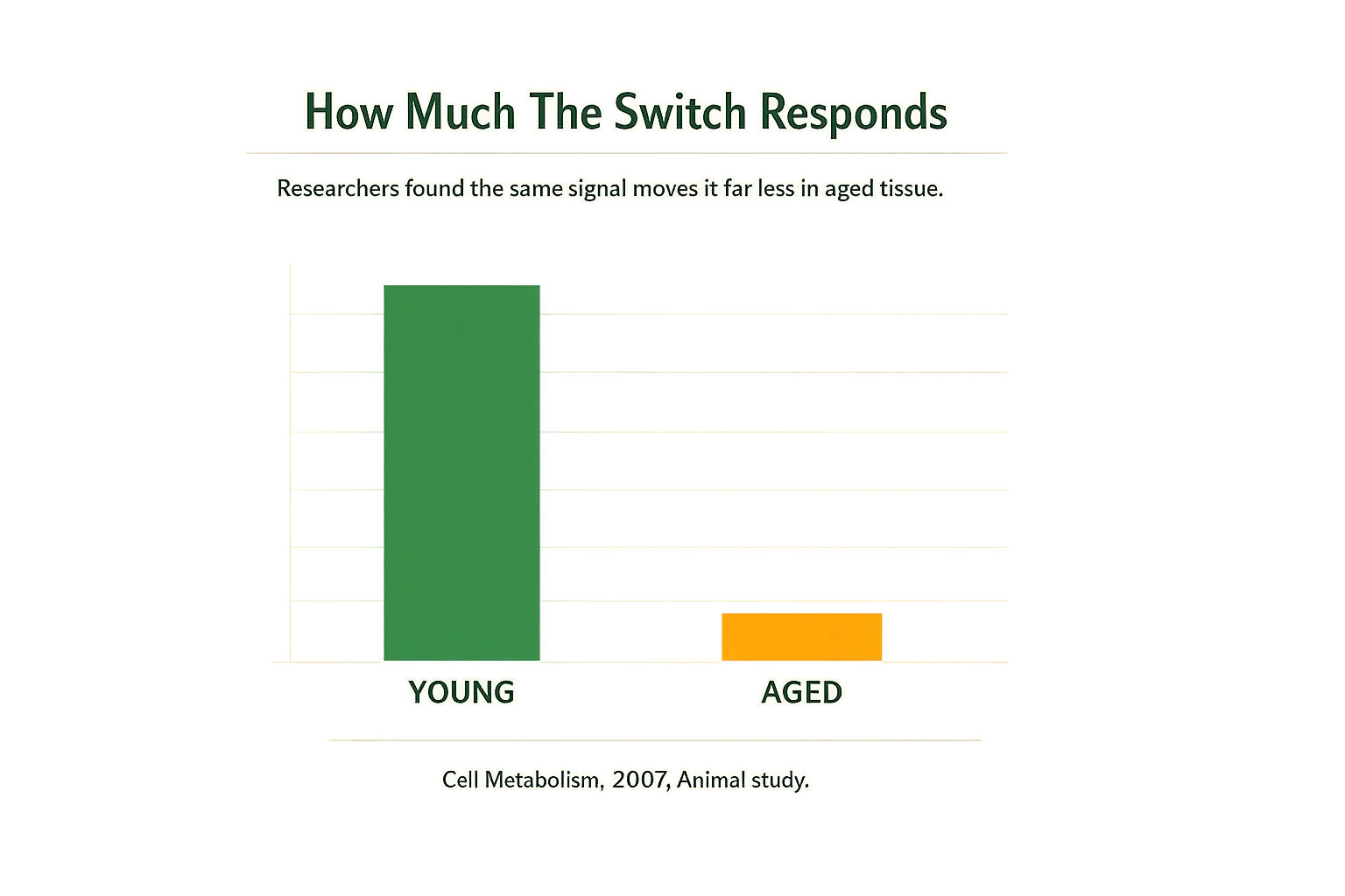 Bar chart comparing how much the switch responds in young versus aged tissue