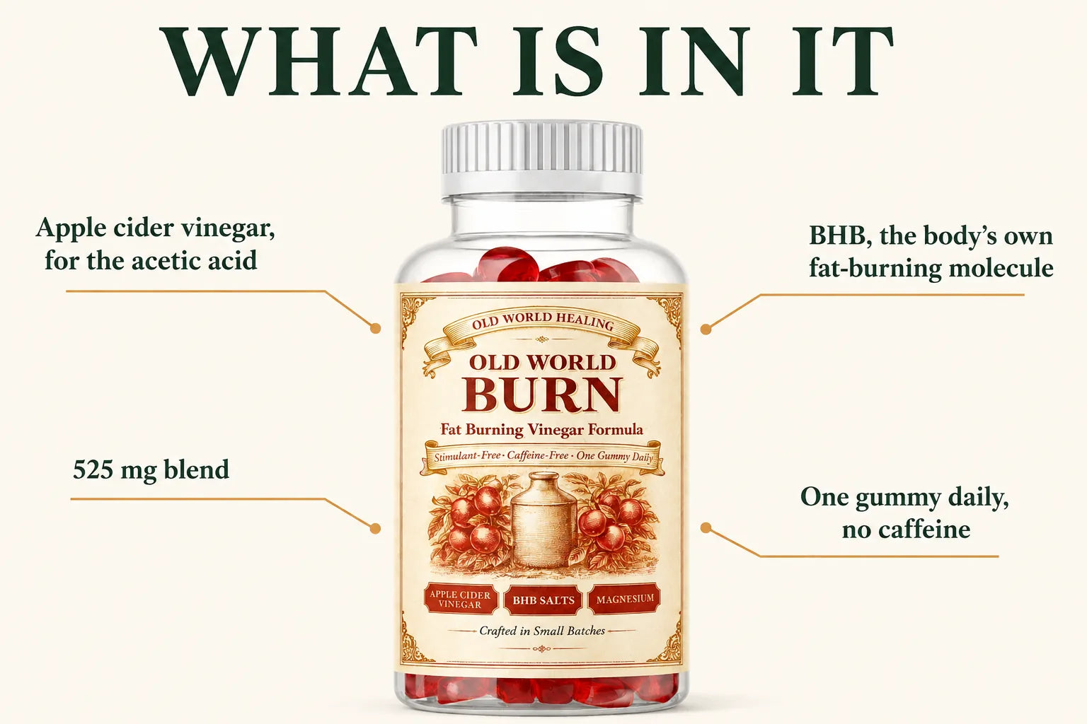Old World Burn feature infographic with ingredient callouts