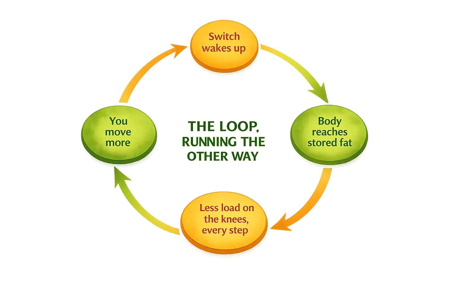 Circular loop diagram labelled The Loop, Running The Other Way