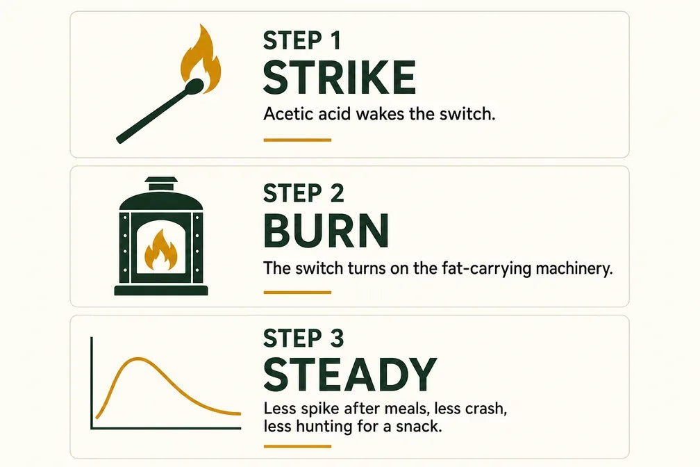 Three-step mechanism: Strike, Burn, Steady