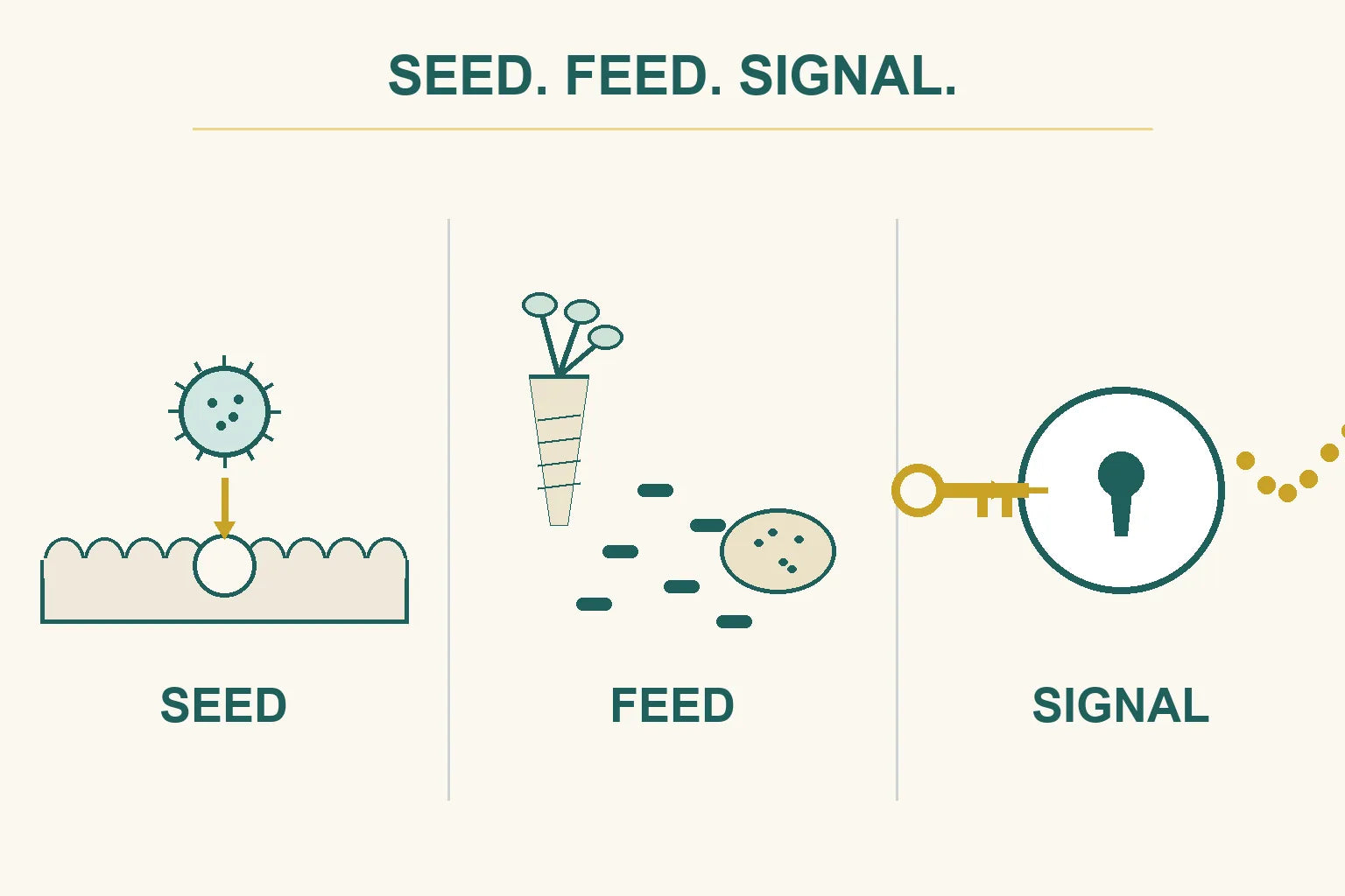 Three-panel infographic titled Seed, Feed, Signal showing the bacterium planted, fed by chicory and potato starch, then turning the P9 key