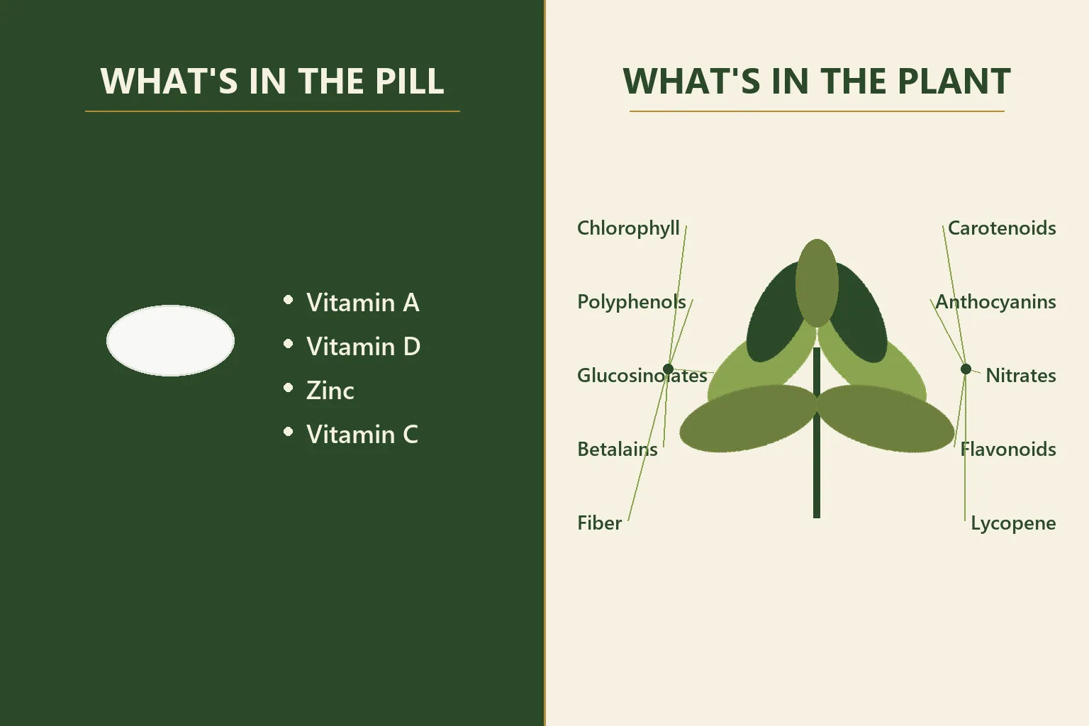 Split infographic comparing what is in the pill with what is in the plant