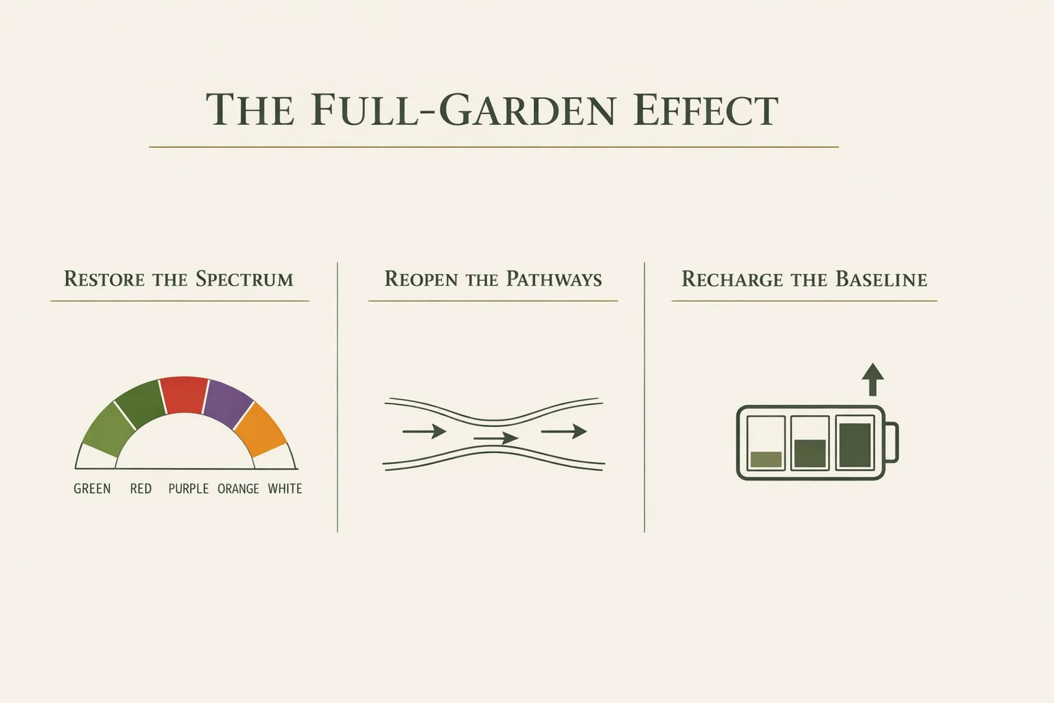 Three-panel graphic: restore the spectrum, reopen the pathways, recharge the baseline