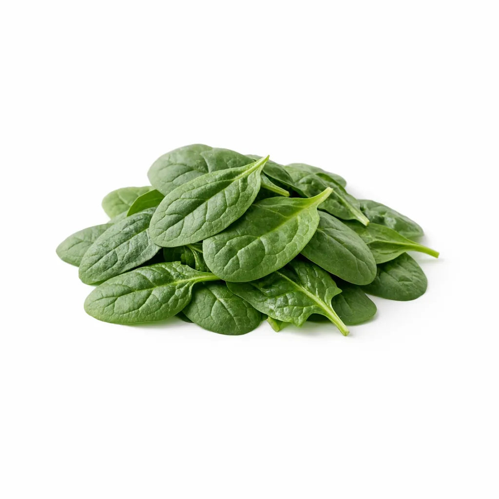 Fresh spinach leaves