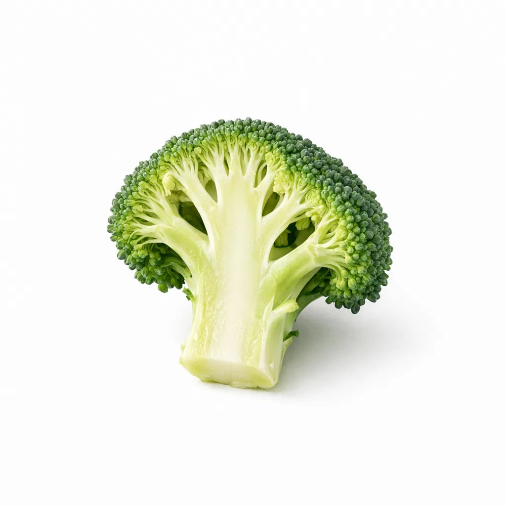 A broccoli floret cut to show the stem