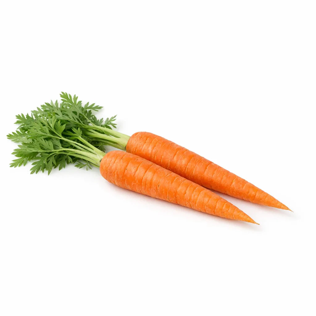 Carrots with fronds attached