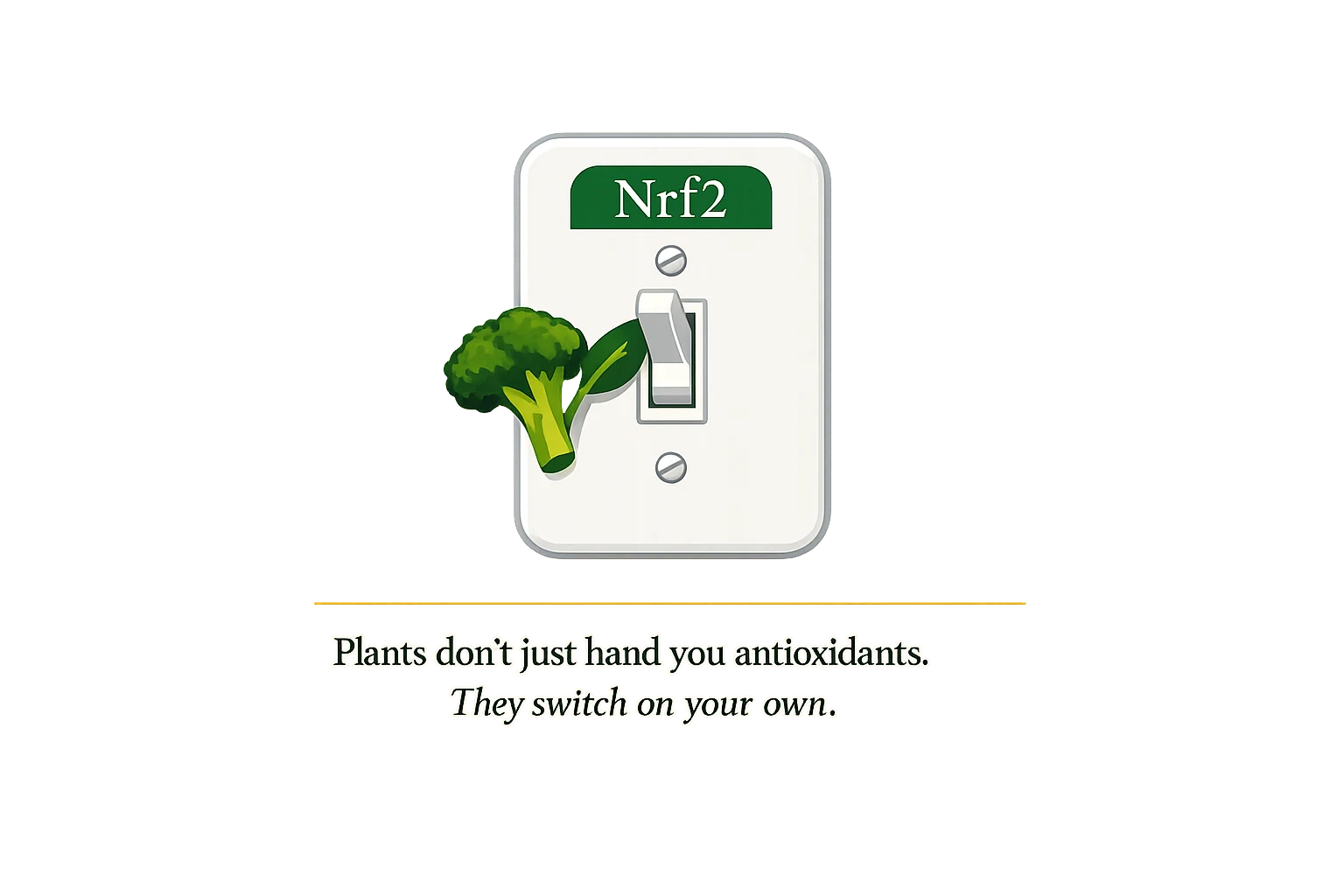 The Nrf2 switch being flipped by a sprout