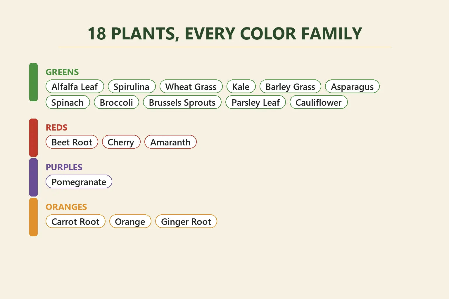 The 18 plants grouped by color family: greens, reds, purples and oranges