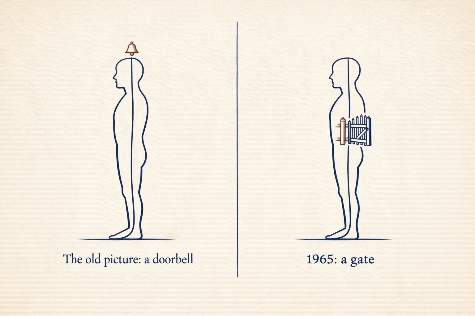 Editorial infographic comparing the old doorbell picture of pain with the 1965 gate picture