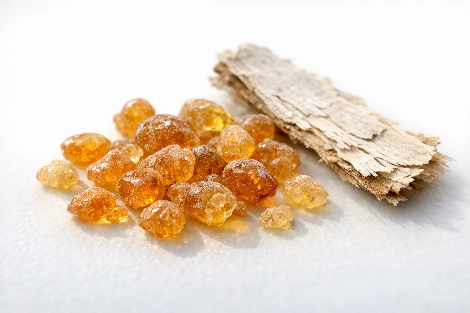 Amber-golden boswellia serrata resin tears beside a strip of bark