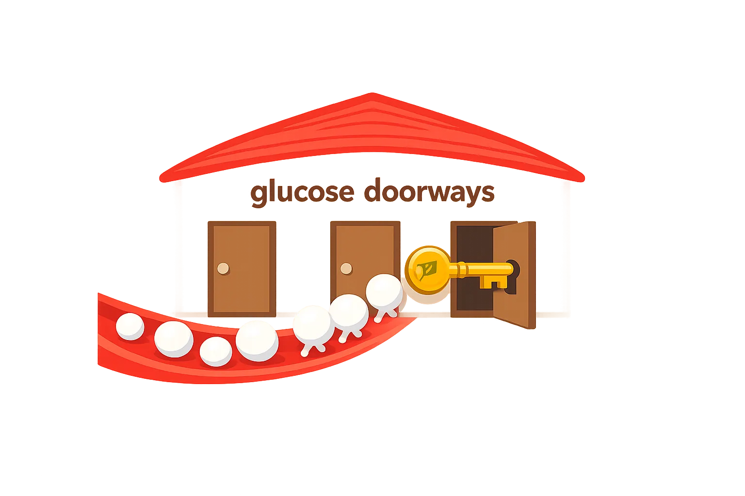 Simple infographic of a muscle cell drawn as a house with glucose doorways and a golden key