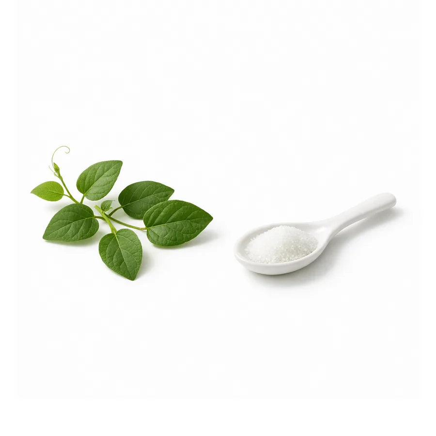 Gymnema sylvestre leaves beside a spoon of sugar