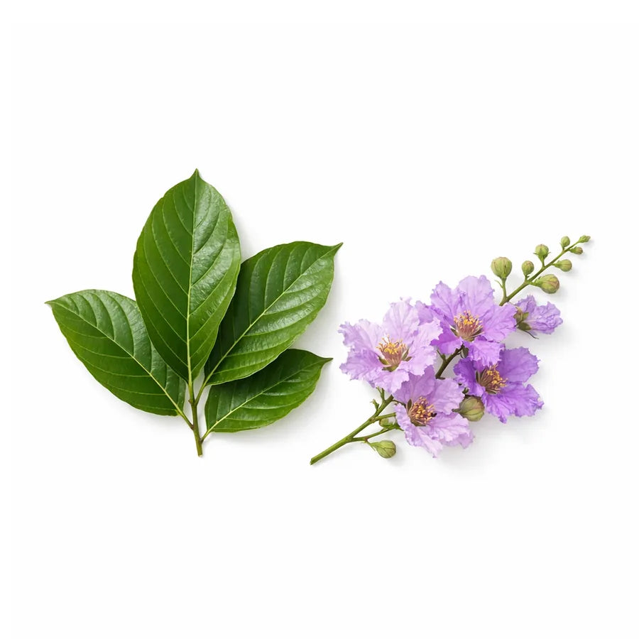 Banaba leaves and purple banaba blossoms